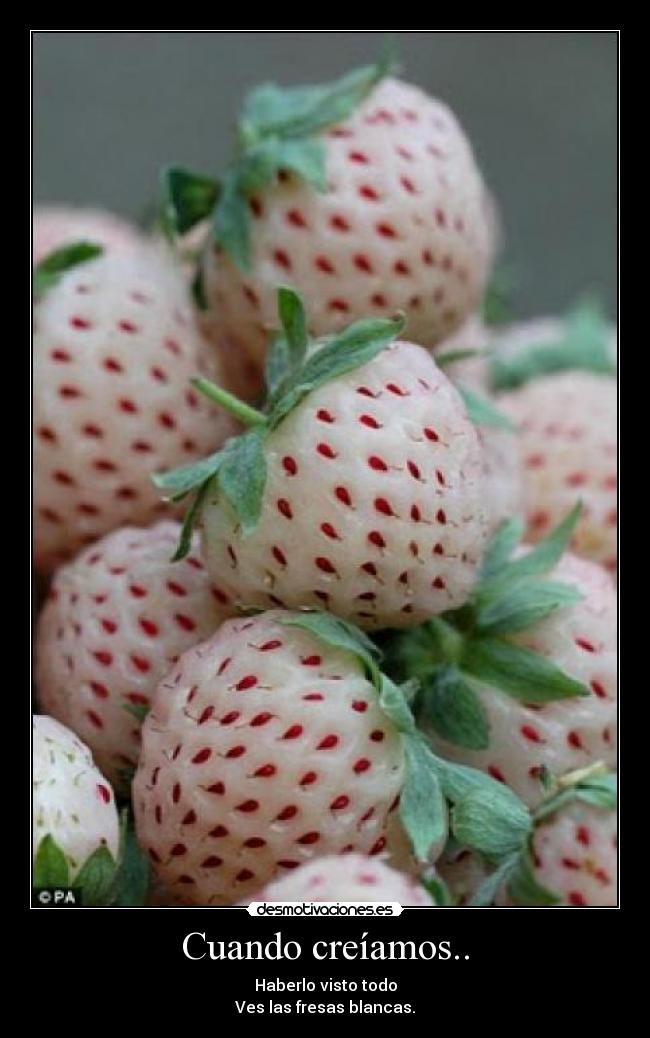 carteles xdddddddddddddddddddddddddddddddddddd algun dia princi desmotivaciones