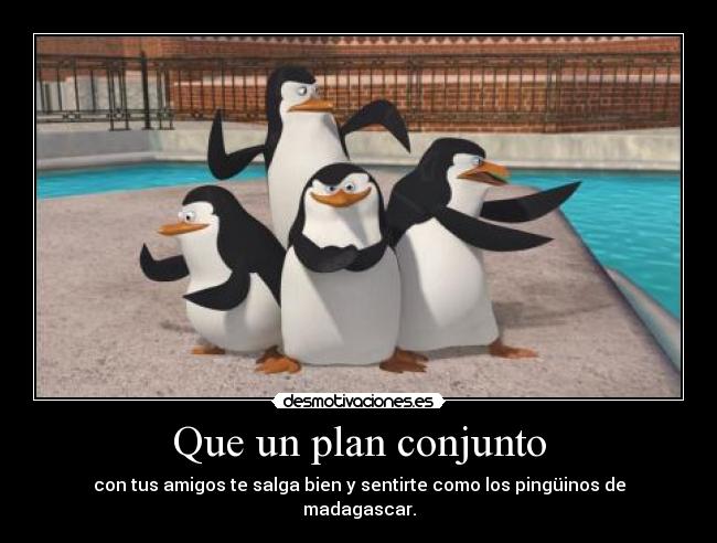 Que un plan conjunto - con tus amigos te salga bien y sentirte como los pingüinos de madagascar.