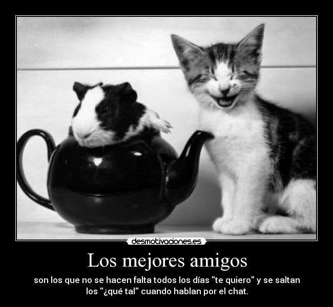 Los mejores amigos - 