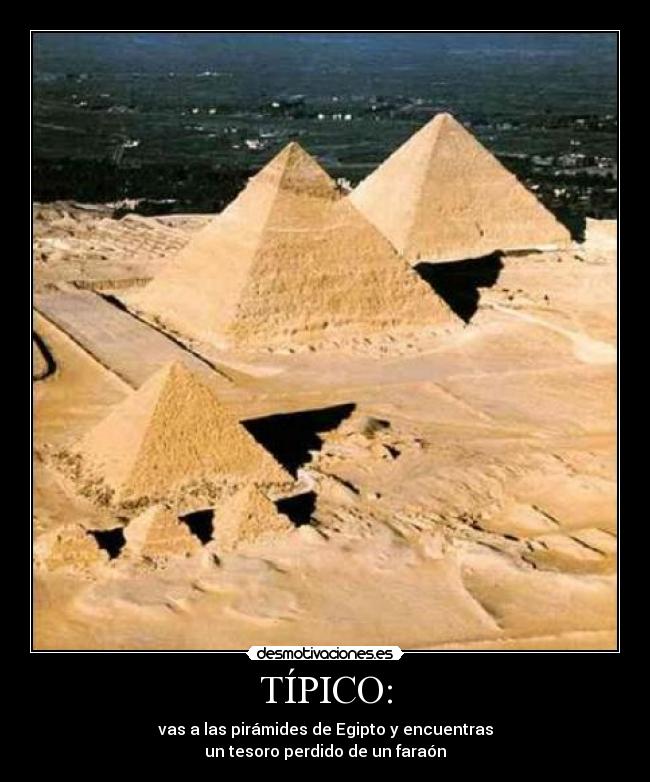 carteles holy shit desmotivaciones