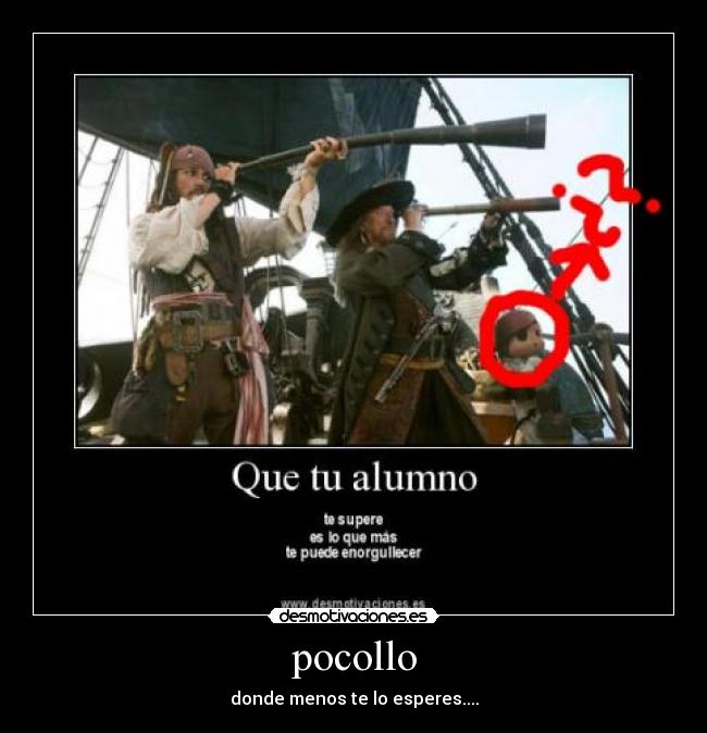 pocollo - donde menos te lo esperes....