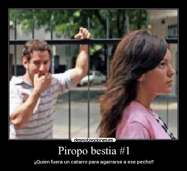 Piropo bestia #1 - ¡¡Quien fuera un catarro para agarrarse a ese pecho!!