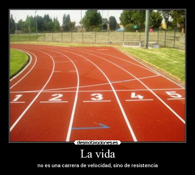 carteles vida vida desmotivaciones