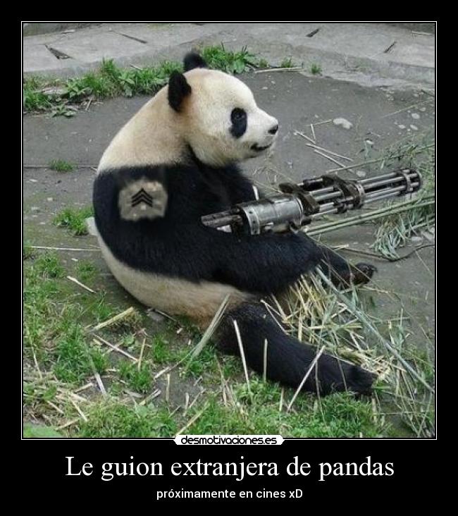 carteles pandas armas samamada desmotivaciones