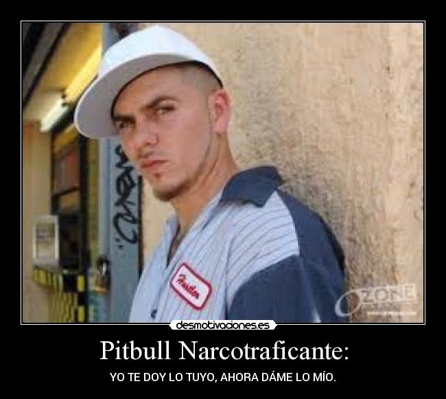 Pitbull Narcotraficante: - 