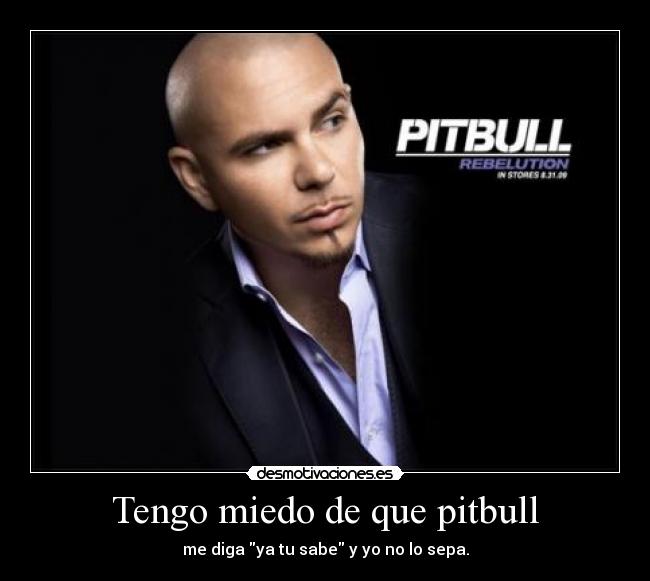 Tengo miedo de que pitbull - me diga ya tu sabe y yo no lo sepa.