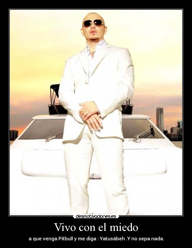 Vivo con el miedo - a que venga Pitbull y me diga : Yatusábeh .Y no sepa nada.