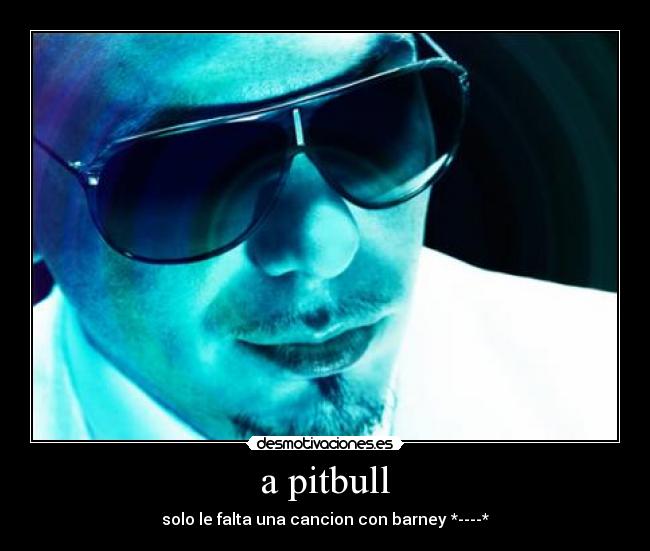 a pitbull -