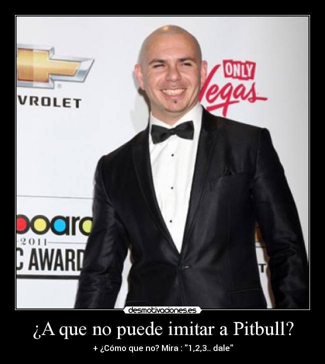 carteles pitbull desmotivaciones