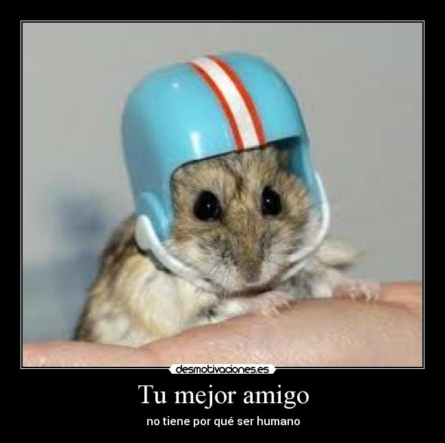 Tu mejor amigo - no tiene por qué ser humano