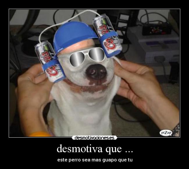 desmotiva que ... - este perro sea mas guapo que tu