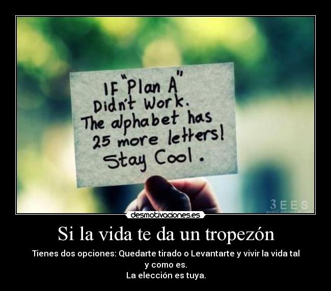 Si la vida te da un tropezón - Tienes dos opciones: Quedarte tirado o Levantarte y vivir la vida tal y como es.
La elección es tuya.
