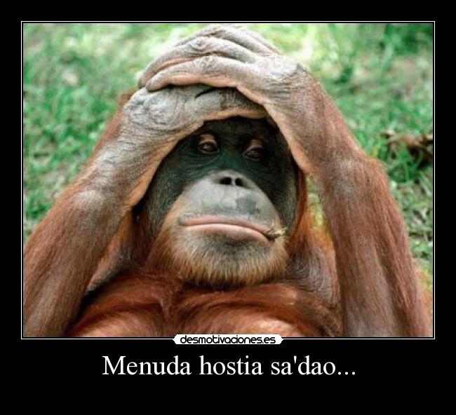 Menuda hostia sadao... - 