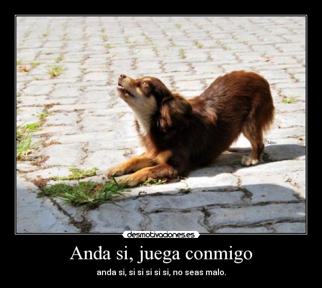 Anda si, juega conmigo - anda si, si si si si si, no seas malo.