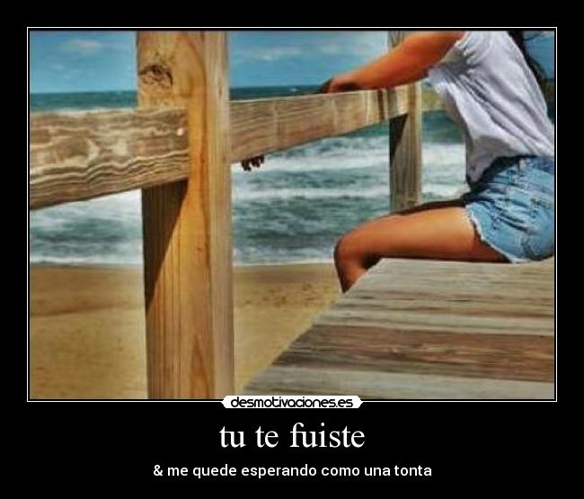 tu te fuiste - 