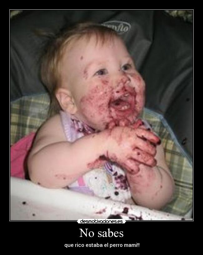 No sabes - que rico estaba el perro mami!!