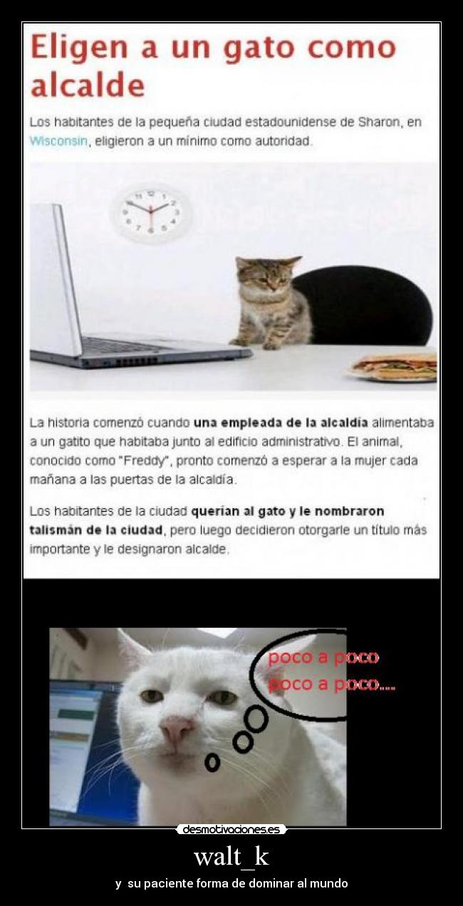 walt_k - y su paciente forma de dominar al mundo