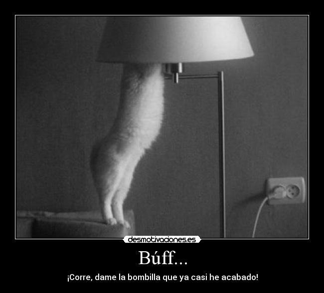 Búff... - ¡Corre, dame la bombilla que ya casi he acabado!