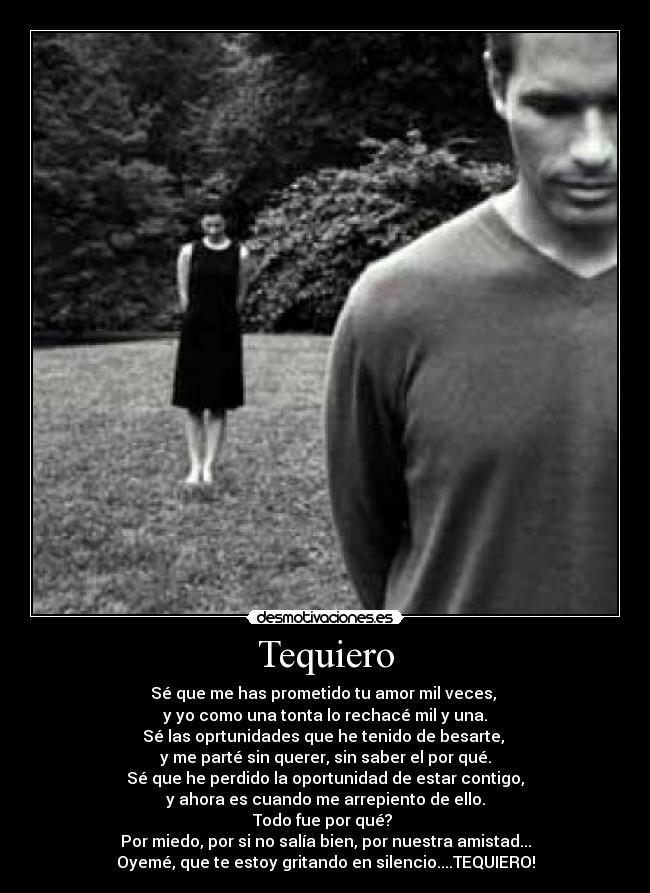 Tequiero - Sé que me has prometido tu amor mil veces, 
y yo como una tonta lo rechacé mil y una.
Sé las oprtunidades que he tenido de besarte, 
y me parté sin querer, sin saber el por qué.
Sé que he perdido la oportunidad de estar contigo,
y ahora es cuando me arrepiento de ello.
Todo fue por qué? 
Por miedo, por si no salía bien, por nuestra amistad...
Oyemé, que te estoy gritando en silencio....TEQUIERO!