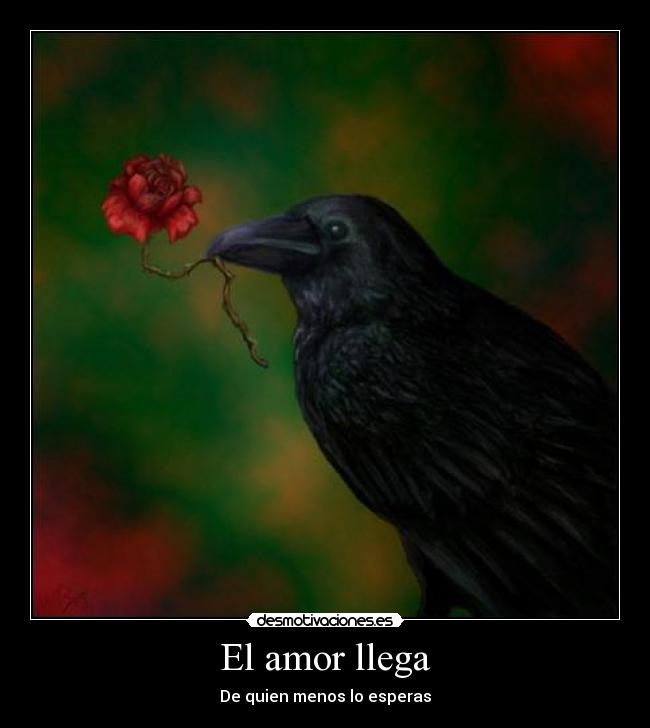 El amor llega -
