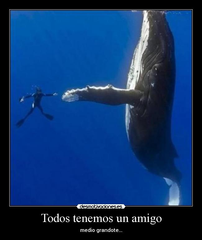 Todos tenemos un amigo - medio grandote...
