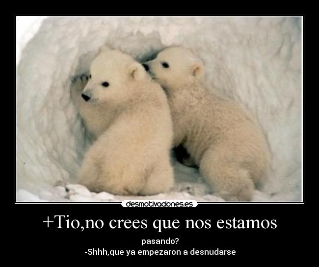 +Tio,no crees que nos estamos - 