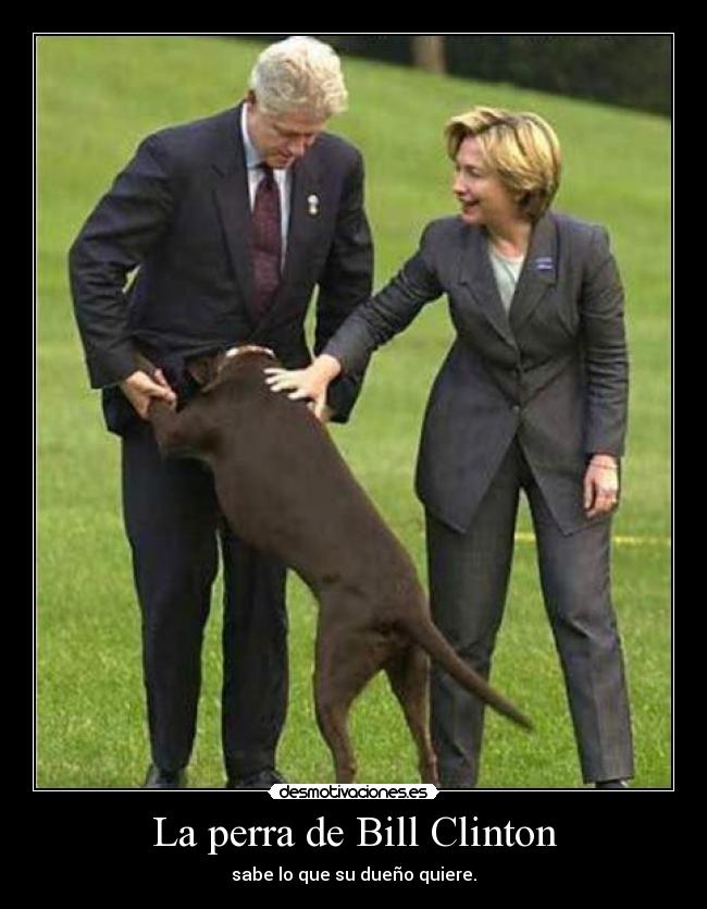 La perra de Bill Clinton - sabe lo que su dueño quiere.