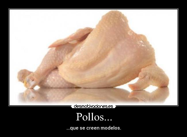 Pollos... -