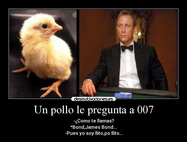 Un pollo le pregunta a 007 -
