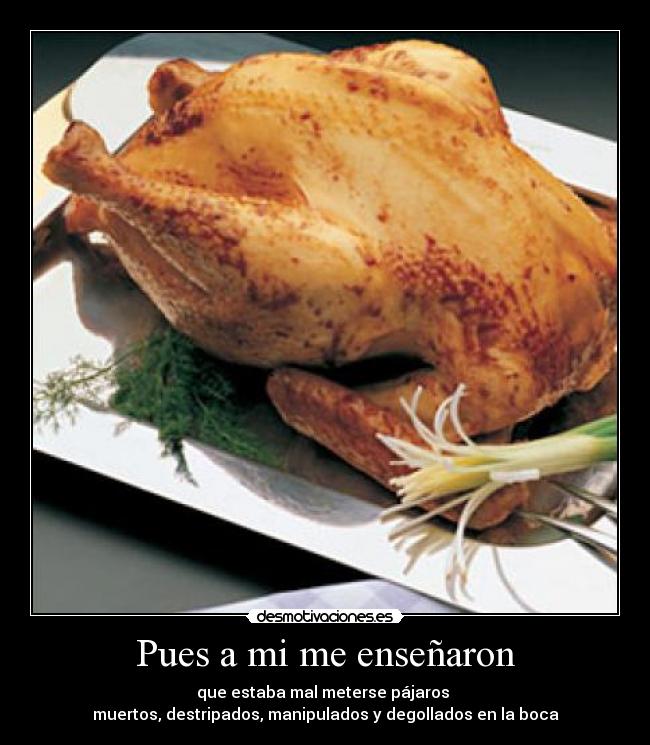 Pues a mi me enseñaron - que estaba mal meterse pájaros 
muertos, destripados, manipulados y degollados en la boca