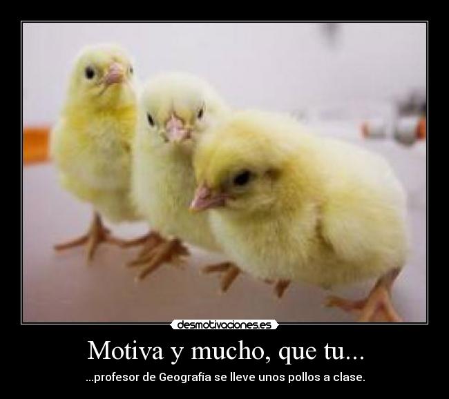Motiva y mucho, que tu... - ...profesor de Geografía se lleve unos pollos a clase.