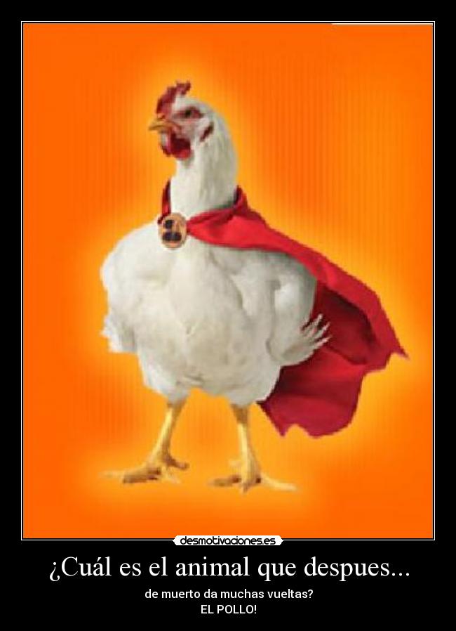 ¿Cuál es el animal que despues... - de muerto da muchas vueltas?
EL POLLO!