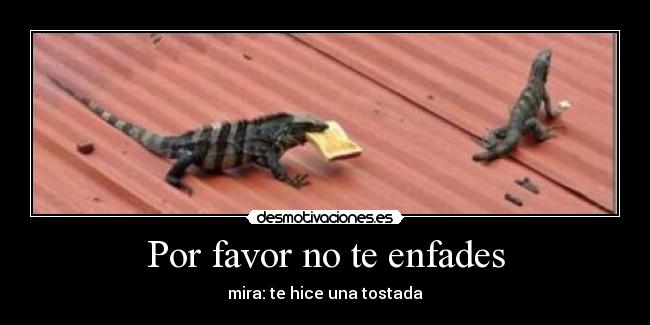 Por favor no te enfades - mira: te hice una tostada