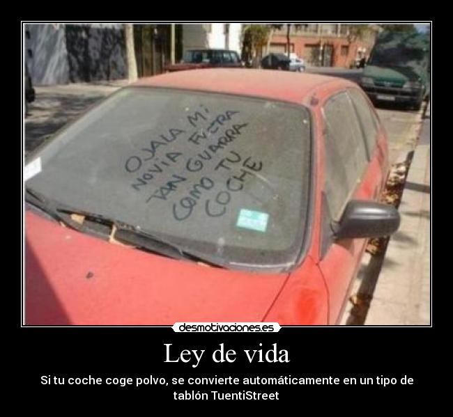 Ley de vida - 
