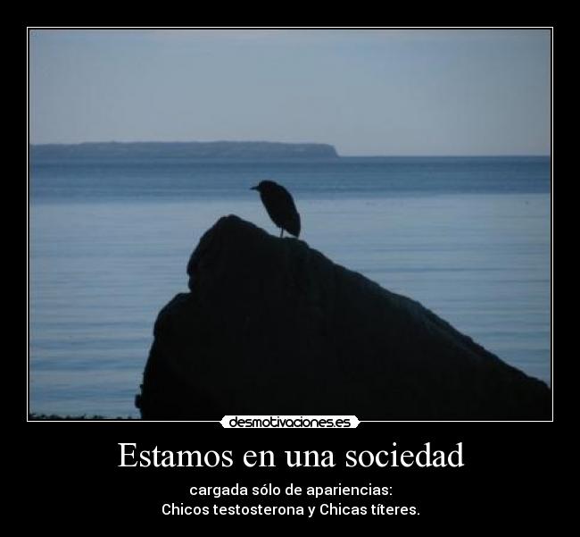 Estamos en una sociedad - 