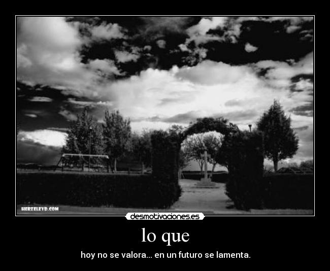 lo que - hoy no se valora... en un futuro se lamenta.