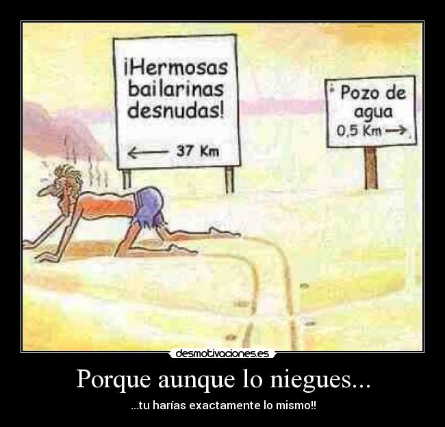 Porque aunque lo niegues... - ...tu harías exactamente lo mismo!!
