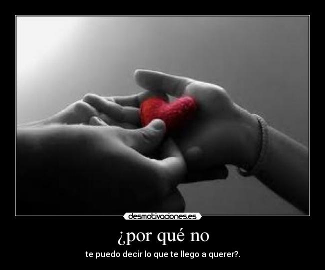 ¿por qué no - te puedo decir lo que te llego a querer?.