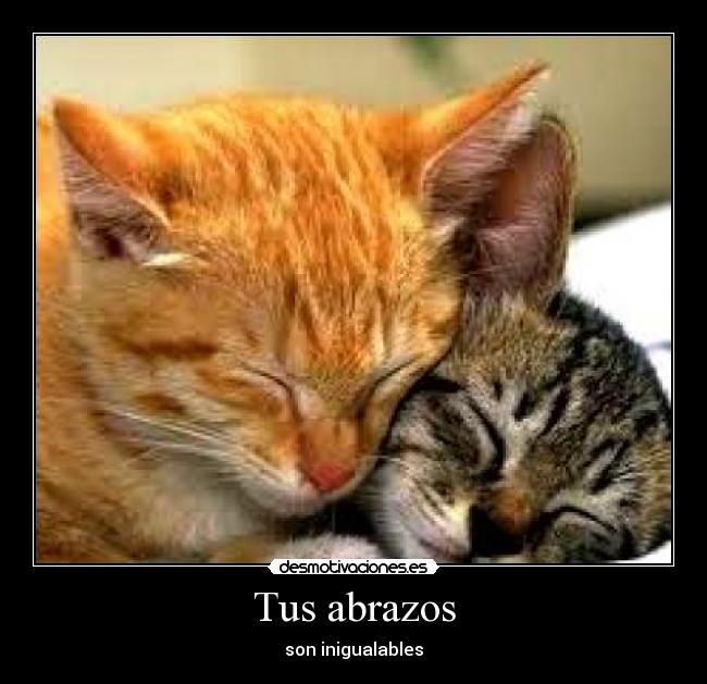 Tus abrazos - 