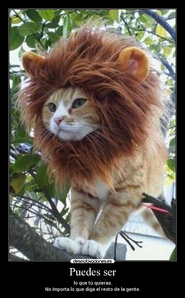 Puedes ser - lo que tú quieras.
No importa lo que diga el resto de la gente.