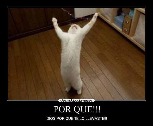 POR QUE!!! -