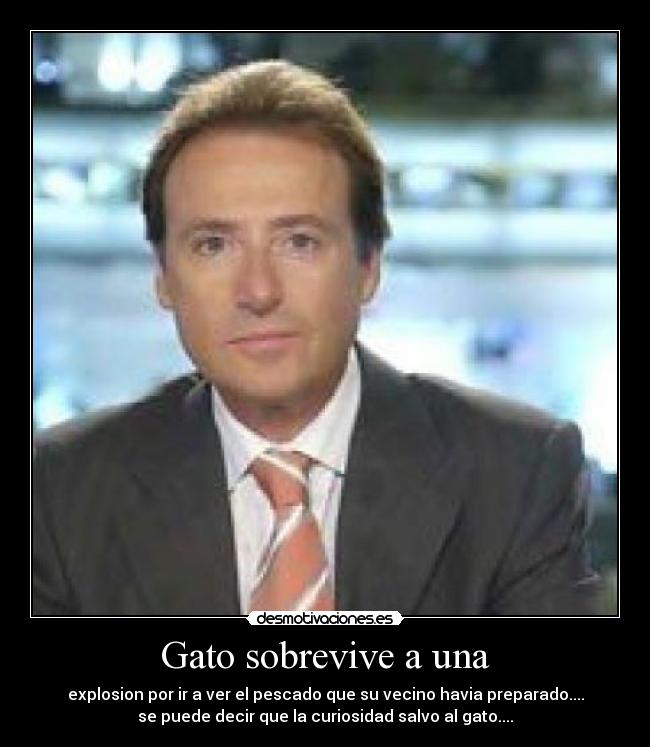 Gato sobrevive a una - explosion por ir a ver el pescado que su vecino havia preparado....
se puede decir que la curiosidad salvo al gato....