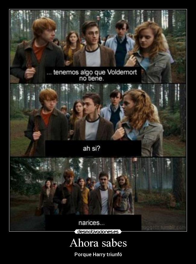 Ahora sabes - Porque Harry triunfó