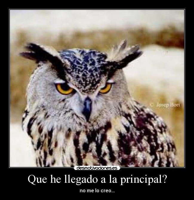 Que he llegado a la principal? - no me lo creo...