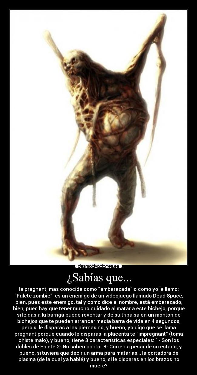 carteles perro del oftalmologo canta chino desmotivaciones