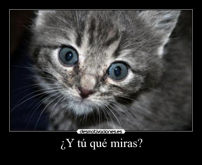 carteles parapapapararararapapapapaparapapapararararapapapapaparapapapararararapapapapa desmotivaciones