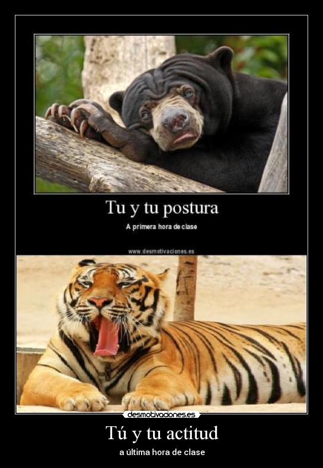 carteles ultima hora clase actitud desmotivaciones