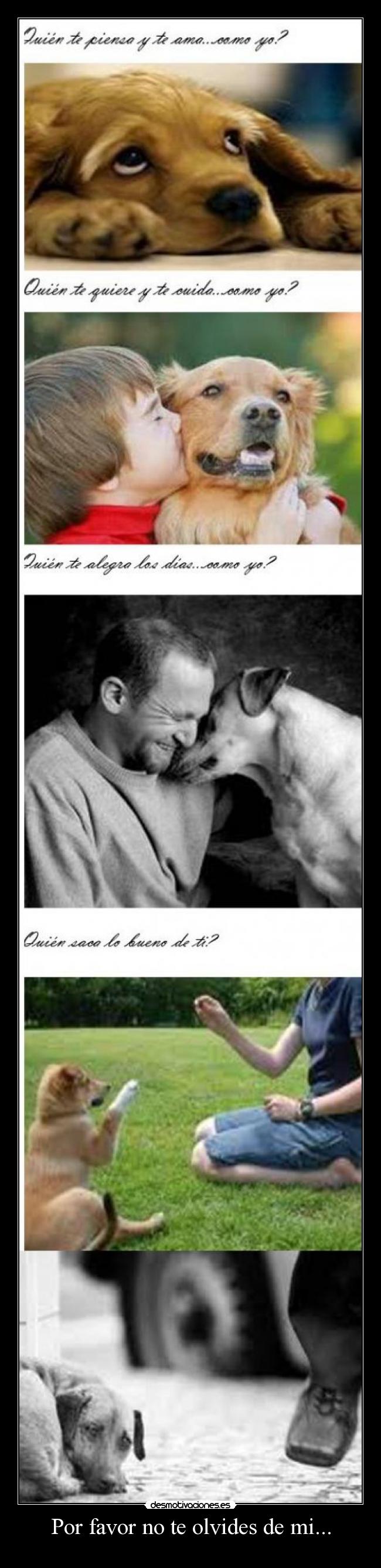 Por favor no te olvides de mi... -