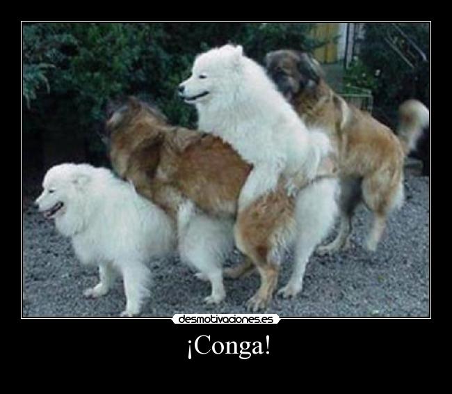 ¡Conga! - 