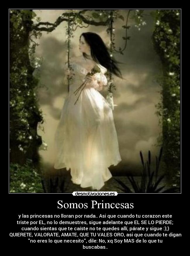carteles somos princesas desmotivaciones